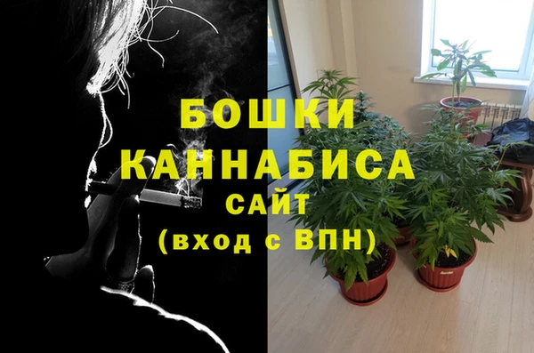 каннабис Богданович