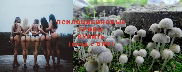 мяу мяу мука Богородск