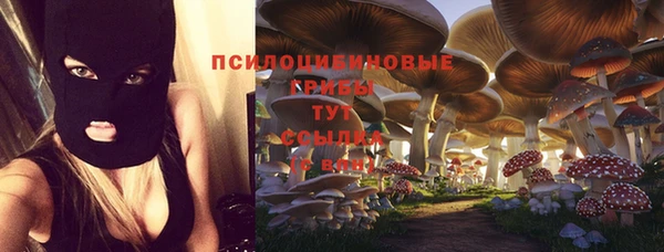 каннабис Богданович