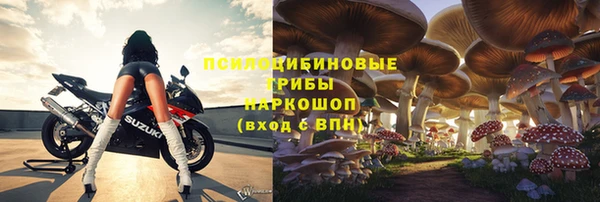 ALPHA PVP Богородицк