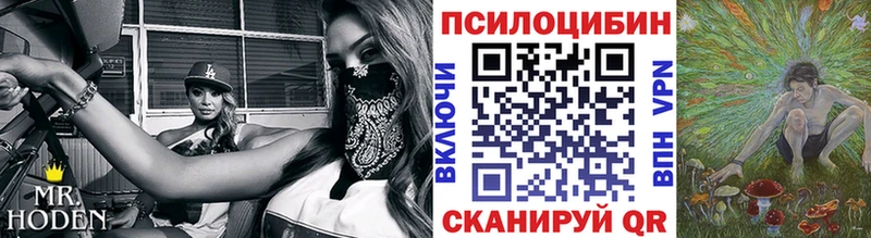 Купить  Малоархангельск  Псилоцибиновые грибы мицелий 